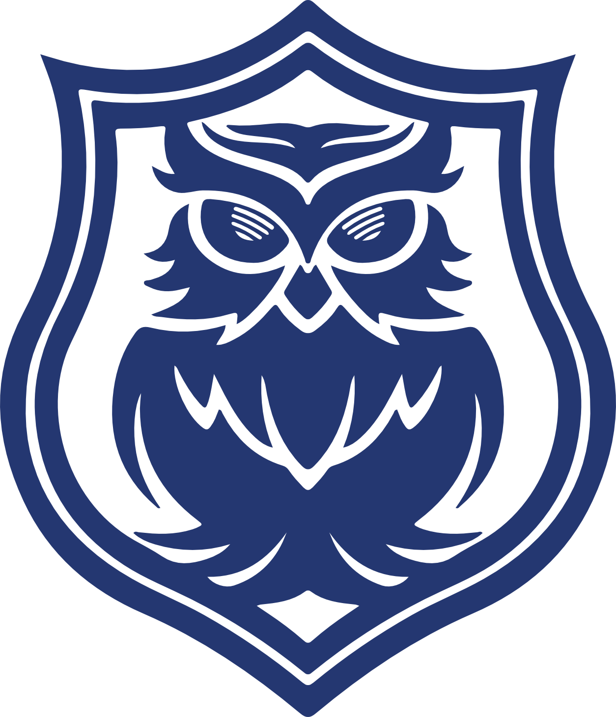The Owl Opens Its Eyes